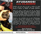 Ads with Photo